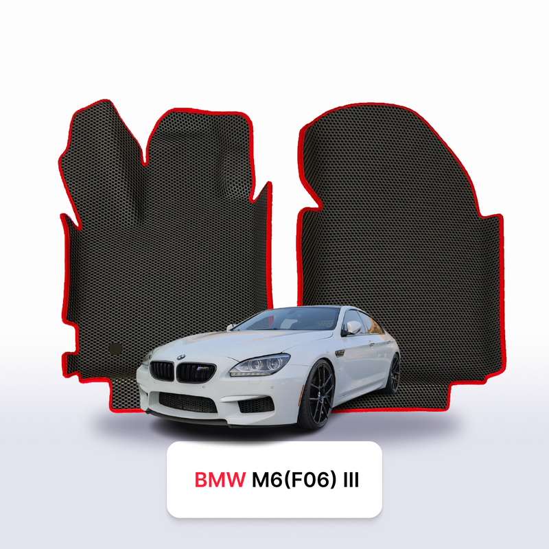 Car mats EVA for BMW M6(F06 Gran Coupe) 3 gen 2012-2019 year SEDAN