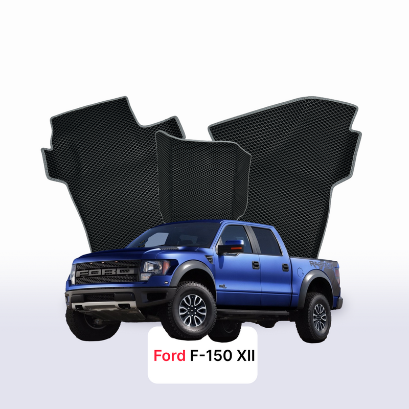 Car mats EVA for Ford F-150 12 gen 2008-2014 year PICK-UP double cabin
