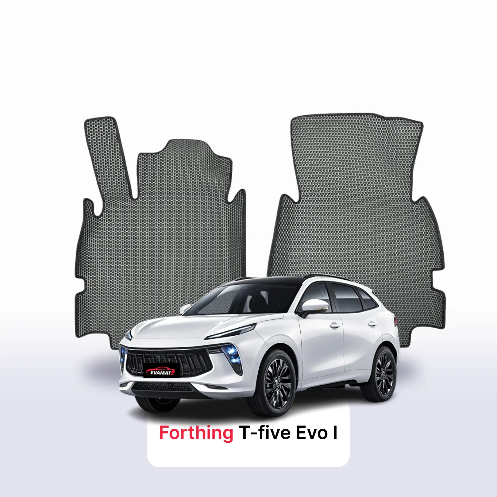 Car mats EVA for Forthing T-five Evo 1 gen 2020-2027 year SUV