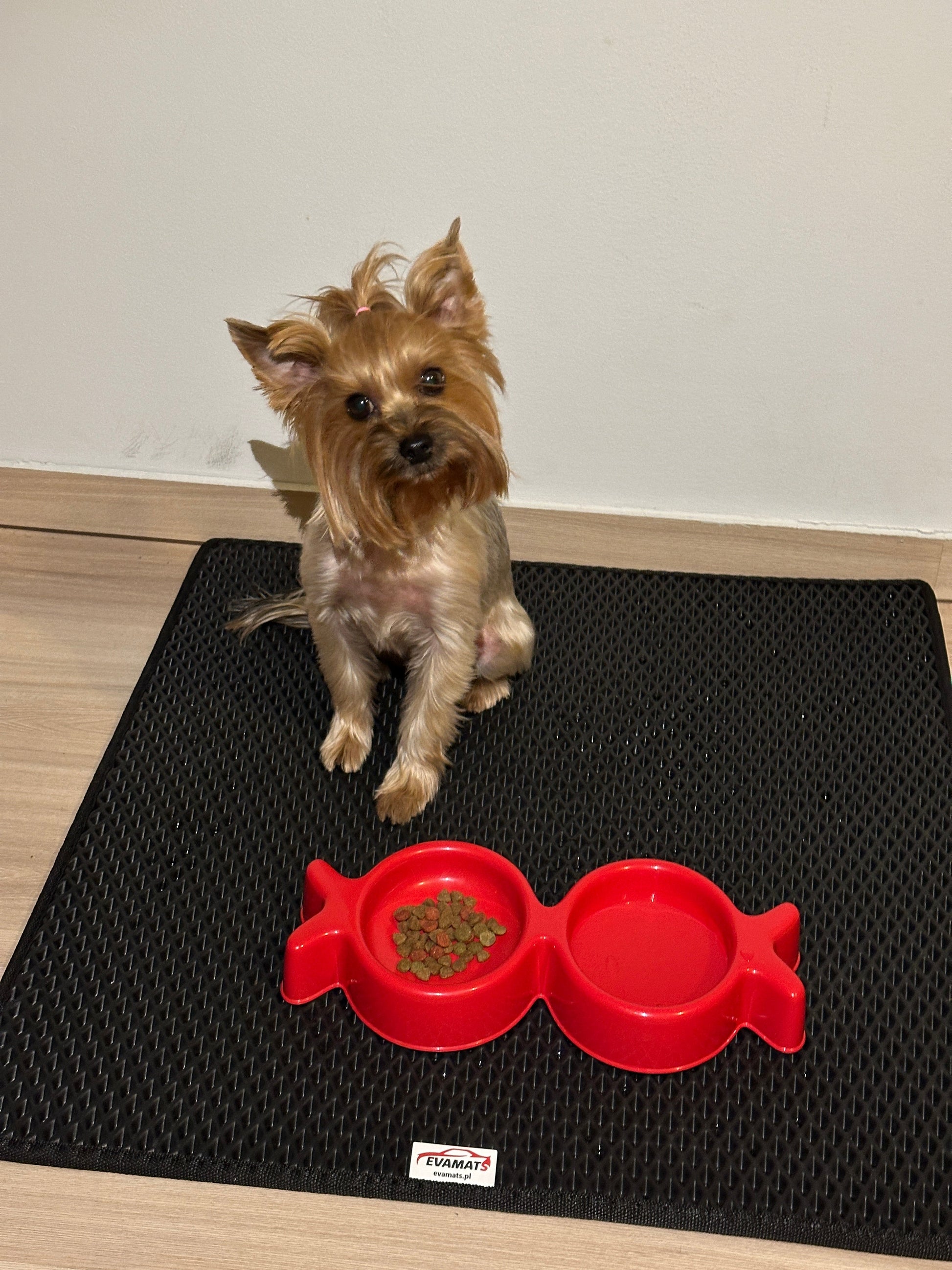 Tapis universel pour animaux de compagnie