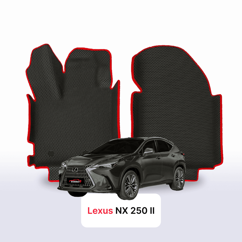 Car mats EVA for Lexus NX 250 2 gen 2021-2027 year SUV