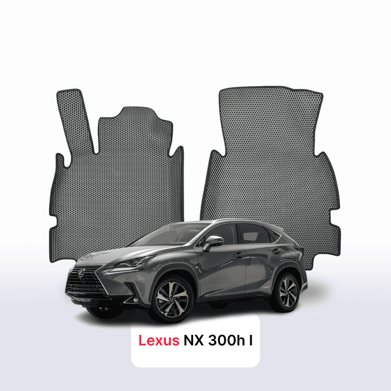 Car mats EVA for Lexus NX 300h 1 gen 2014-2021 year SUV