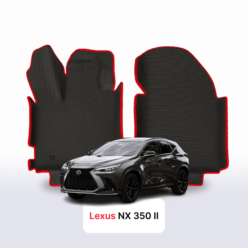 Car mats EVA for Lexus NX 350 2 gen 2021-2028 year SUV