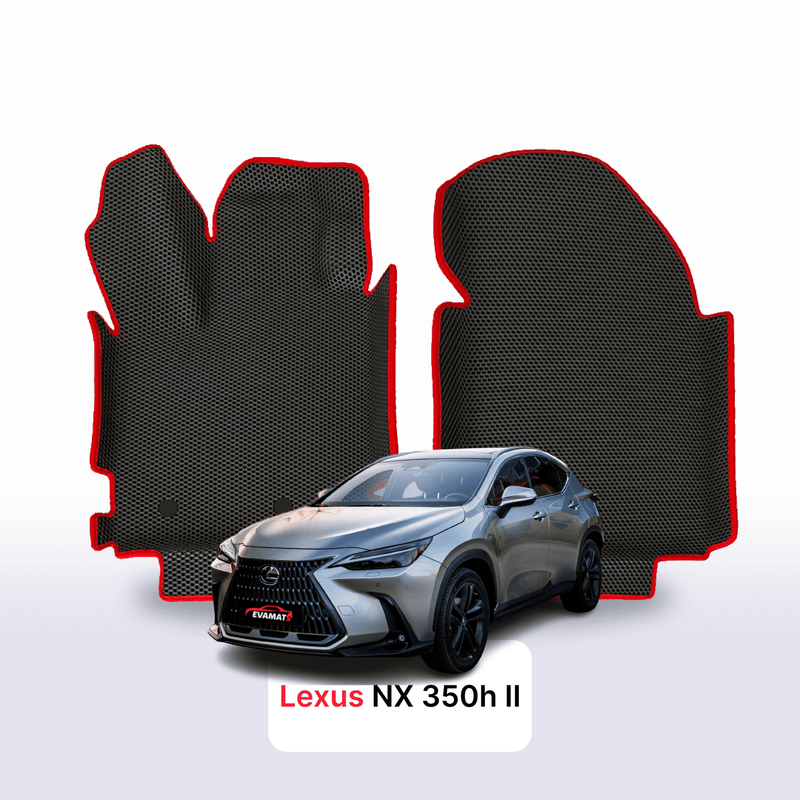 Car mats EVA for Lexus NX 350h 2 gen 2021-2028 year SUV
