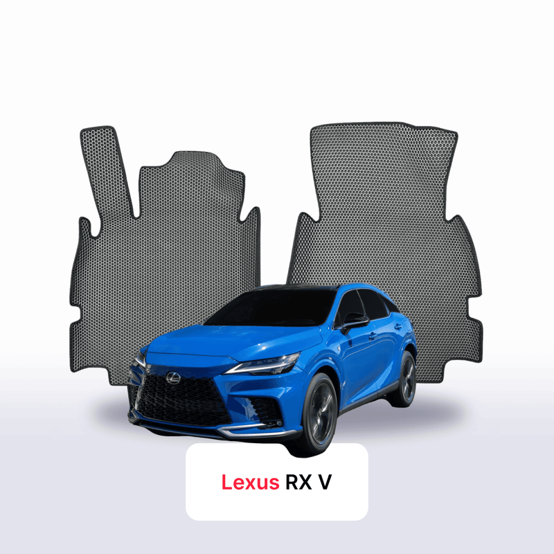 Car mats EVA for Lexus RX 5 gen 2022-2028 year SUV